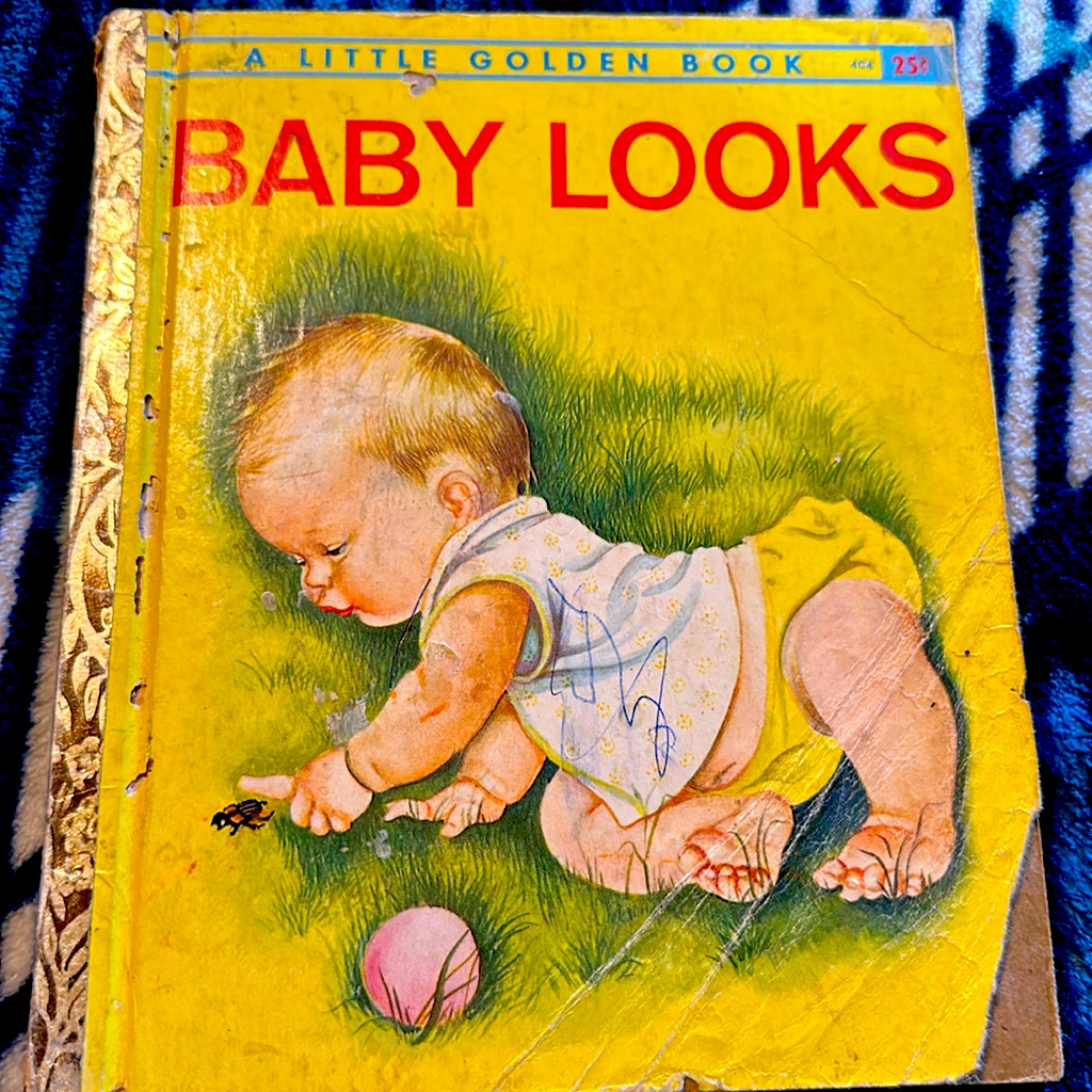 Little Golden Book